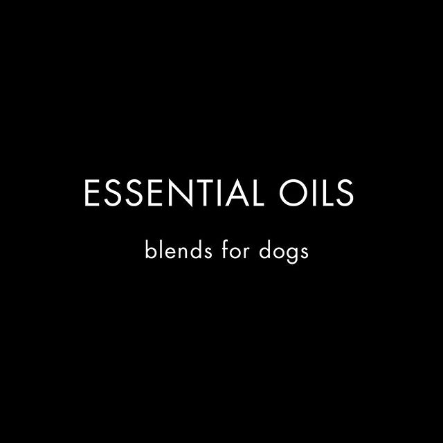 The natural way to care for your pet. Essential Oils can be used for skin care, ear health, pest repellent, mood stability &amp; more. #theritualofpetcare .
.
.#nature #essentialoils #eo #aromatherapy #dog #dogs #dogsofinstagram #lovemydog #dogofthed