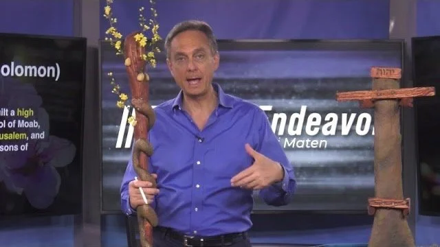 The Rod of an Almond Tree