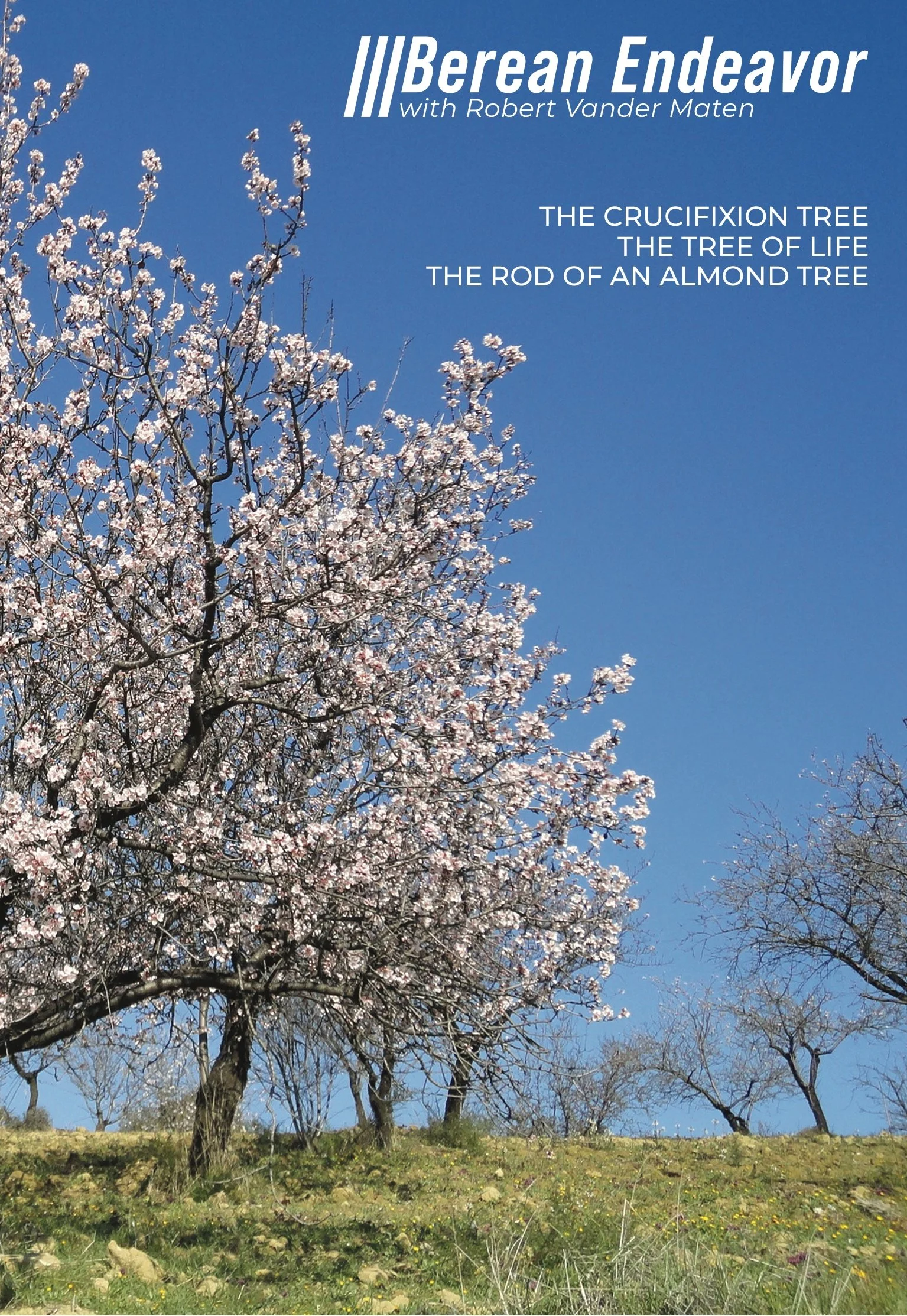 Tree Episodes Jacket.jpg