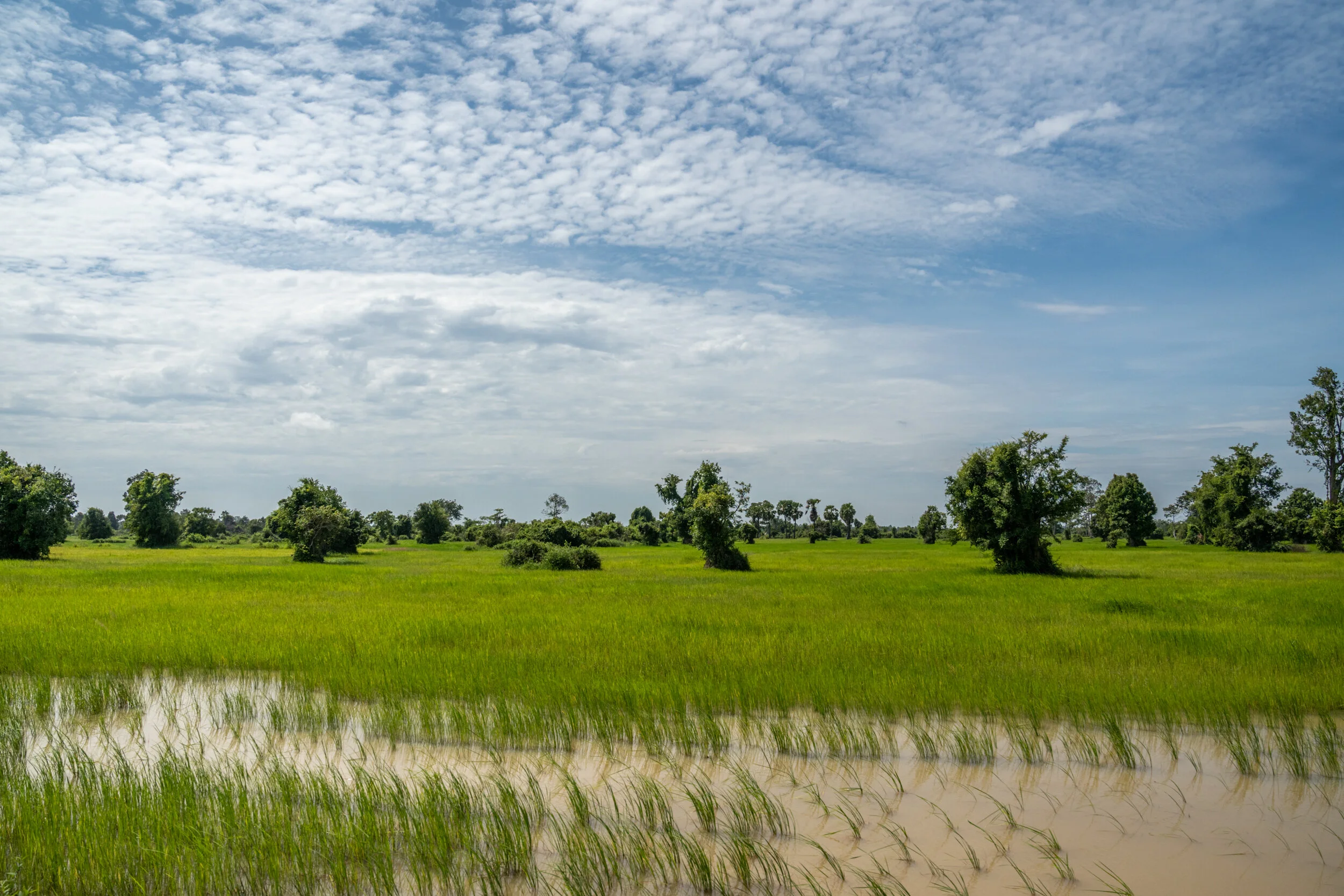 2019-09-09 CSHD-0031.jpg