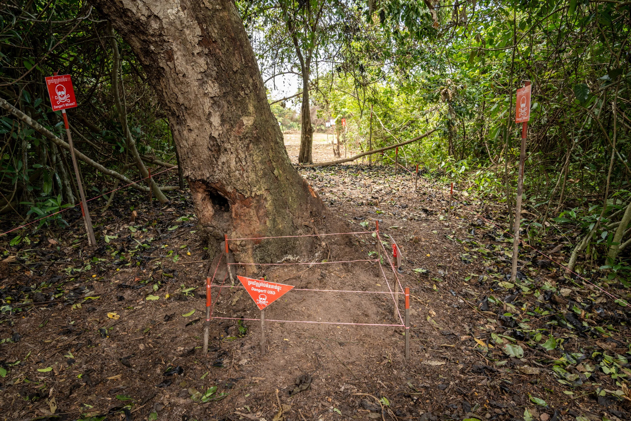 2019-09-09 CSHD-0058.jpg