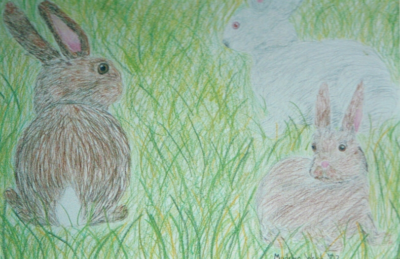 madelyn bunnies.jpg