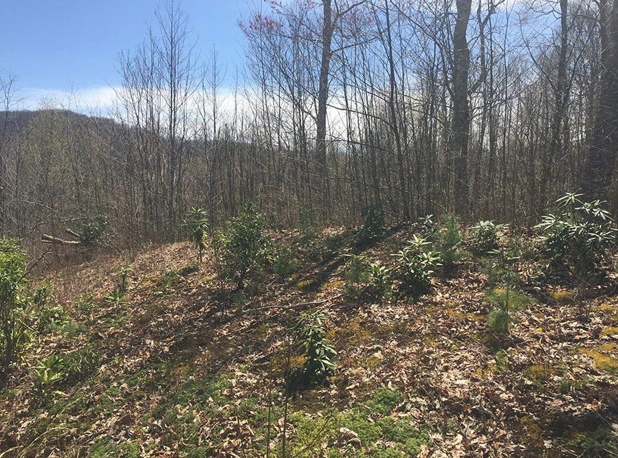 SOLD! MLS 214176 • 2.16 acres with long range view and building site