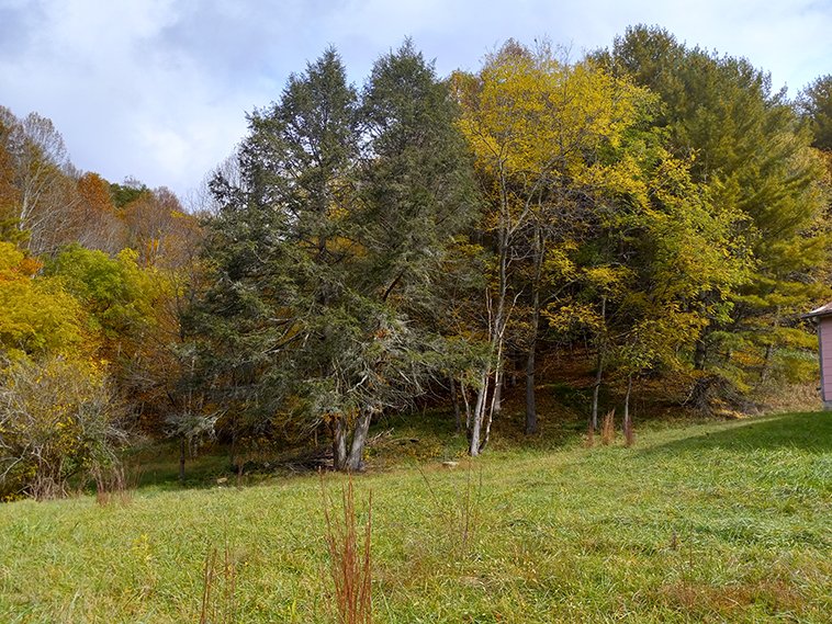 Farms & Land — Wakeman Realty