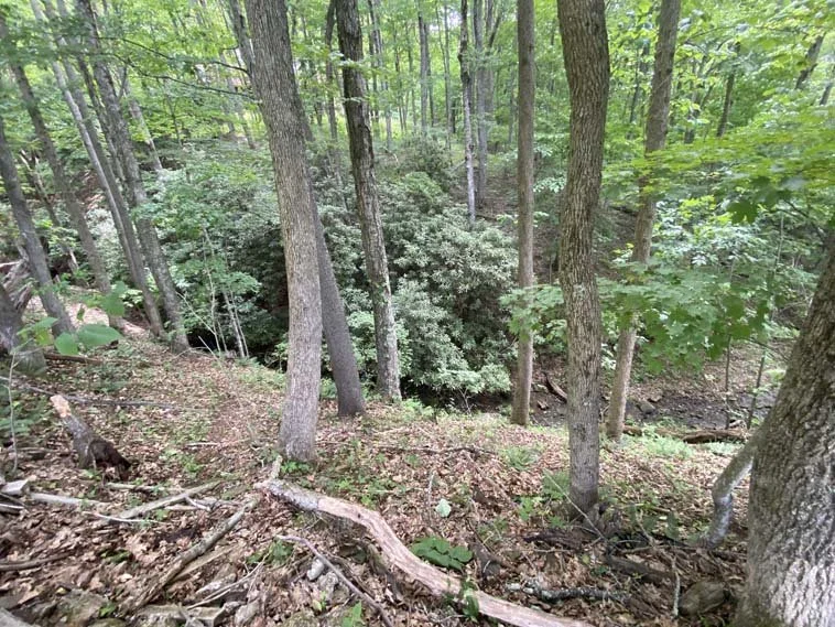 MLS 244100 • SOLD! Near downtown Boone, new open decks, privacy fence