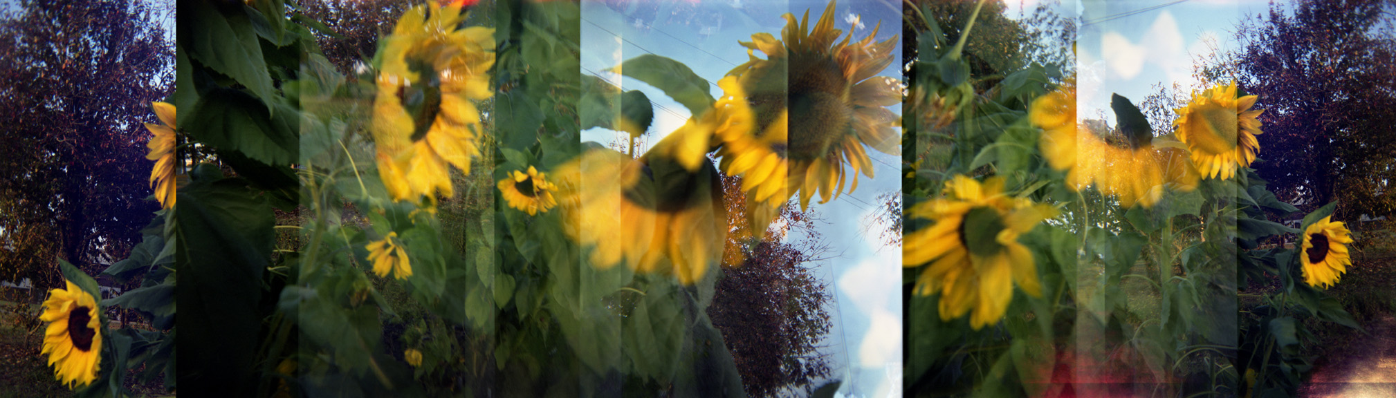 Gardens 4
