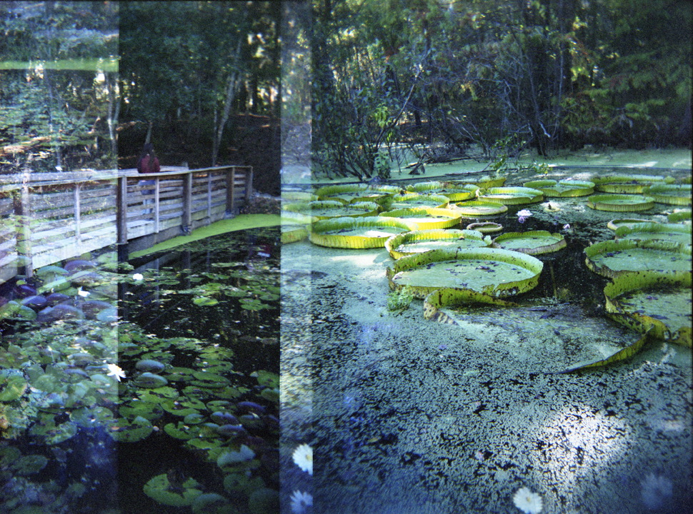 Botanical Gardens 9