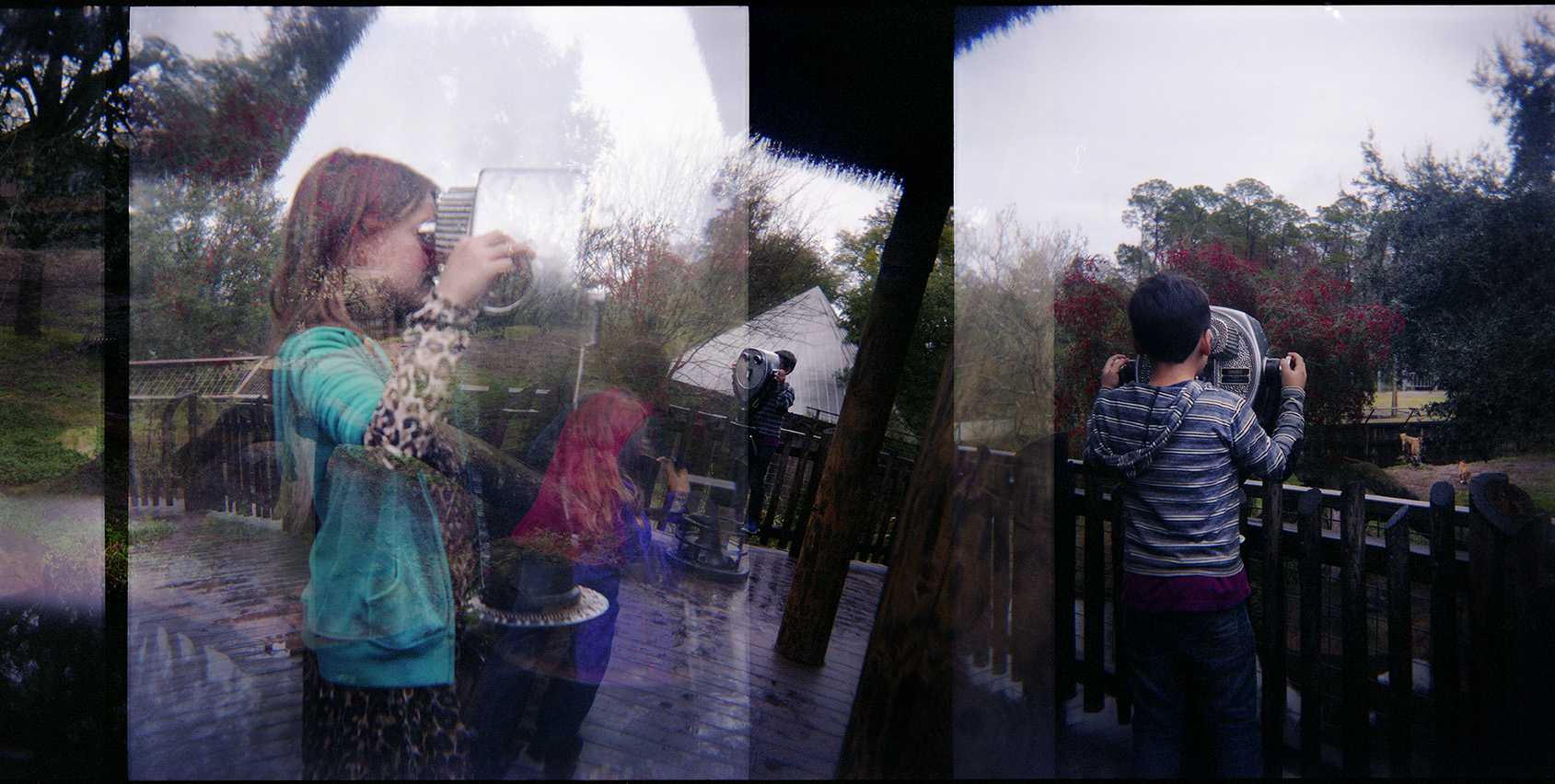 At the Zoo