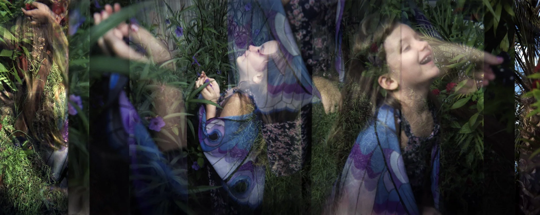 butterfy wings 001-Edit-Edit.jpg