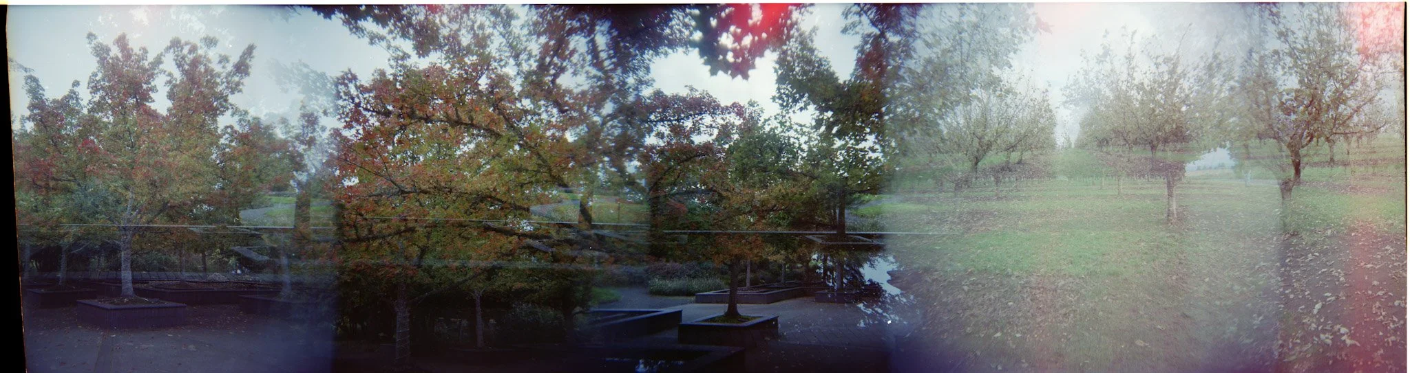 fall leaves022.jpg