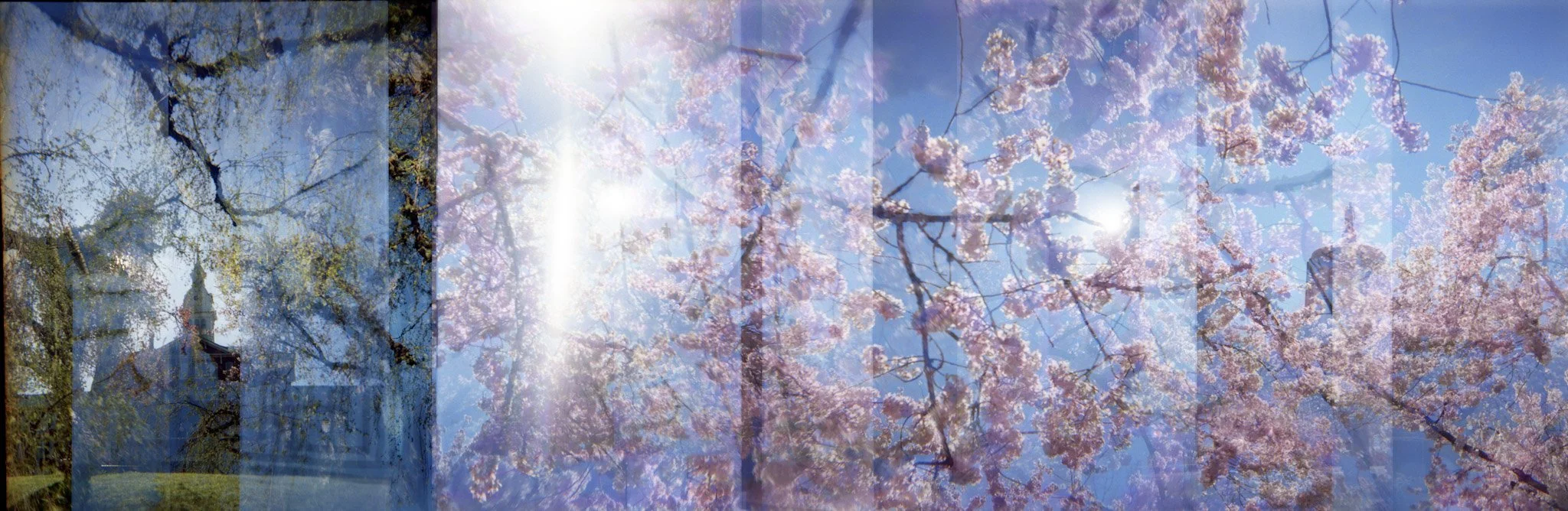 2-spring038-Edit-Edit.jpg