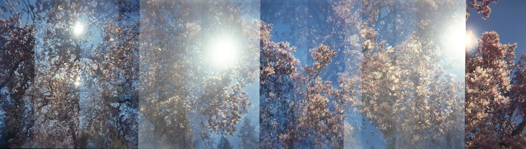4-spring039-Edit-Edit.jpg