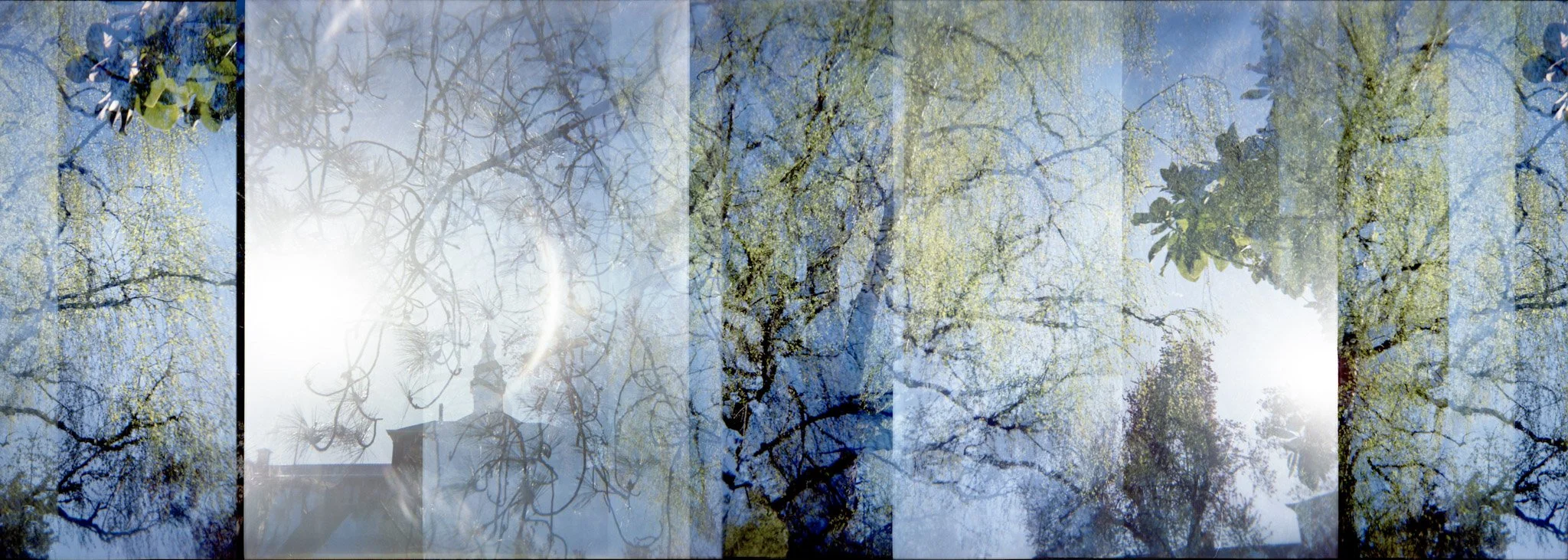 6-green trees-Edit-Edit.jpg