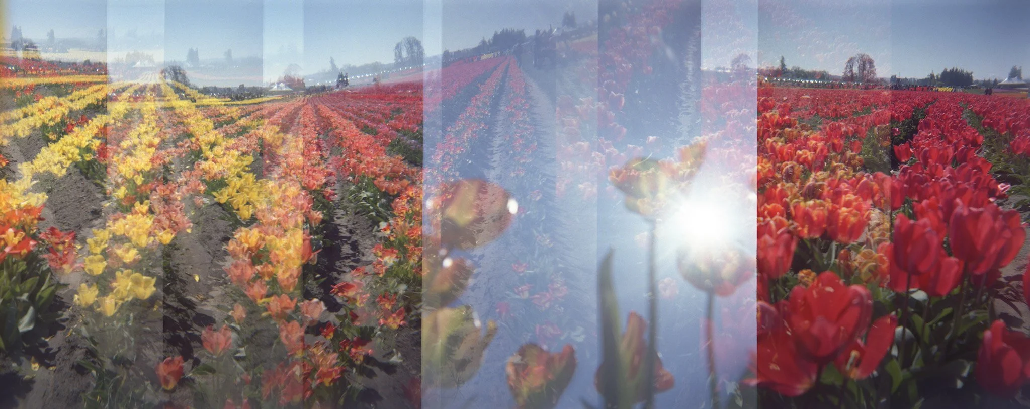 8-spring045-Edit.jpg