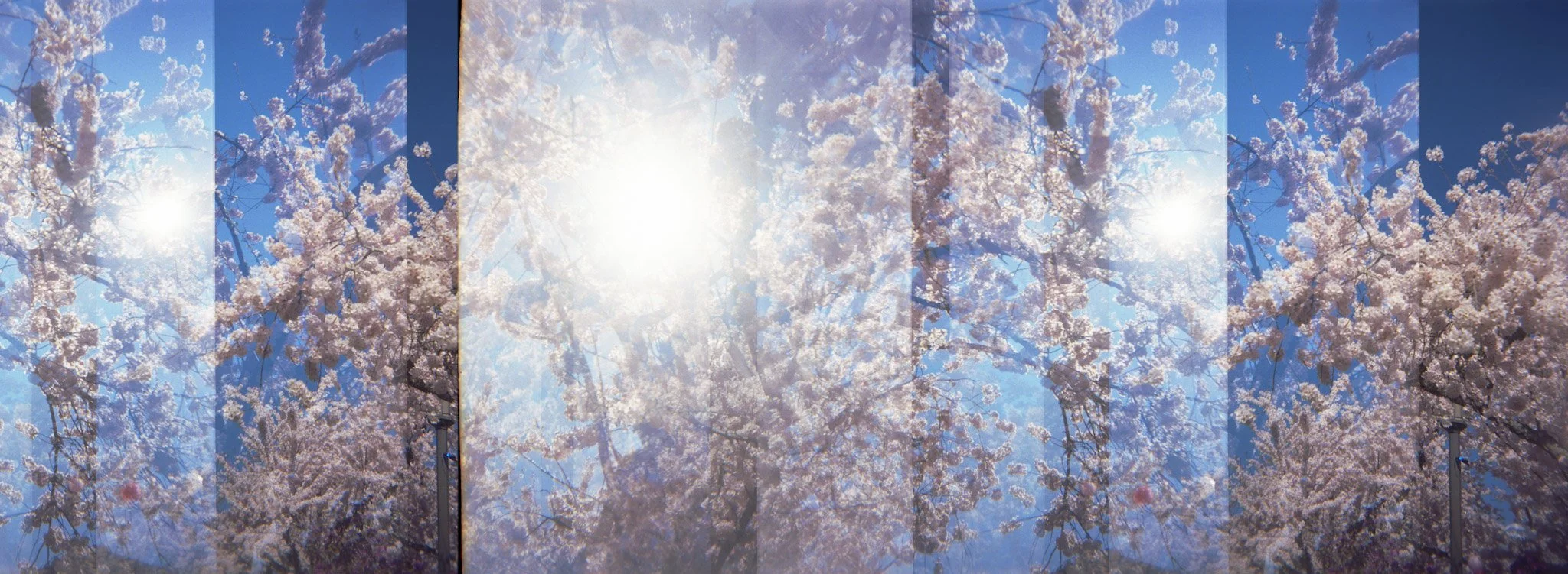 7-spring042.jpg