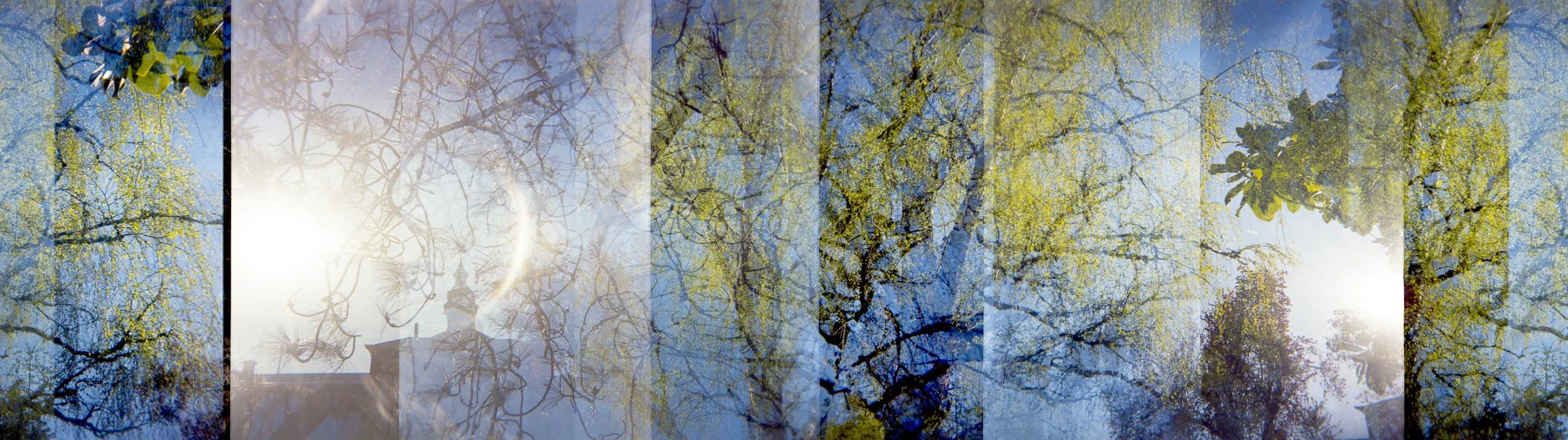 Nikki Burke The Equivalence of Light-2.jpg