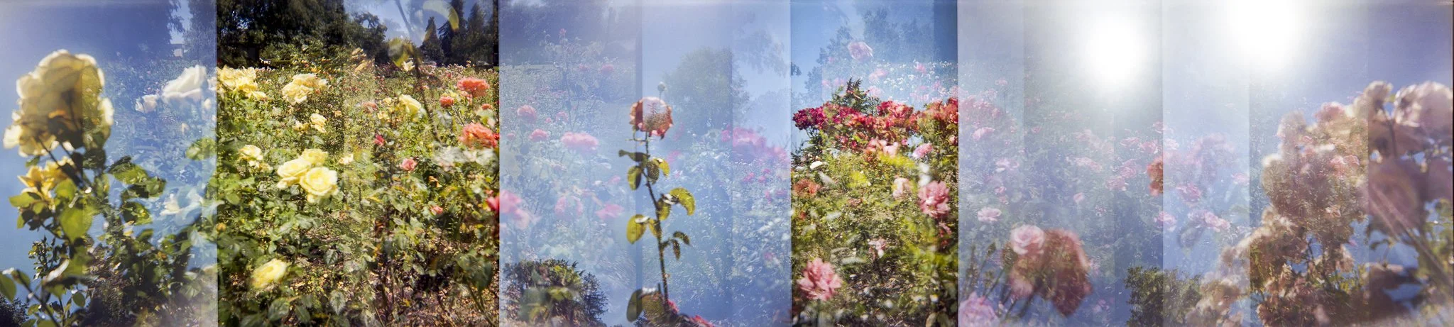 Nikki Burke The Equivalence of Light-4.jpg