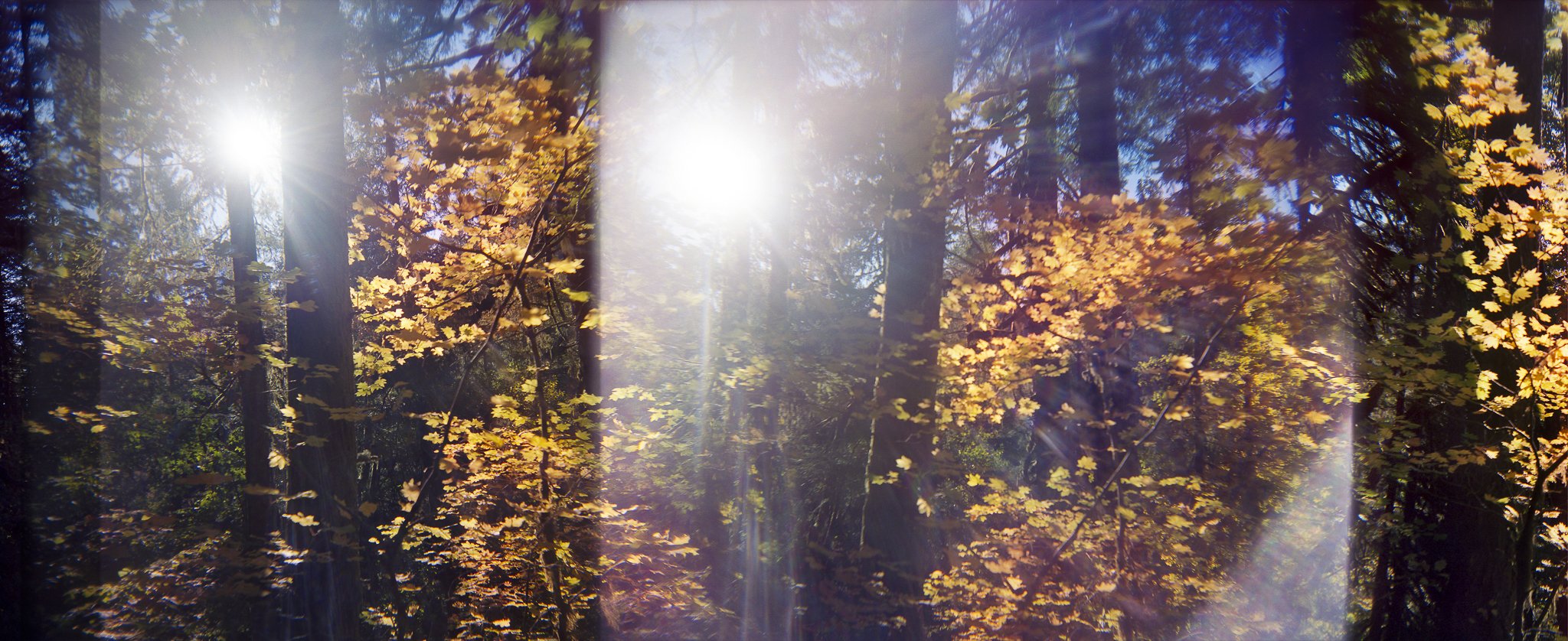 Nikki Burke The Equivalence of Light-5.jpg