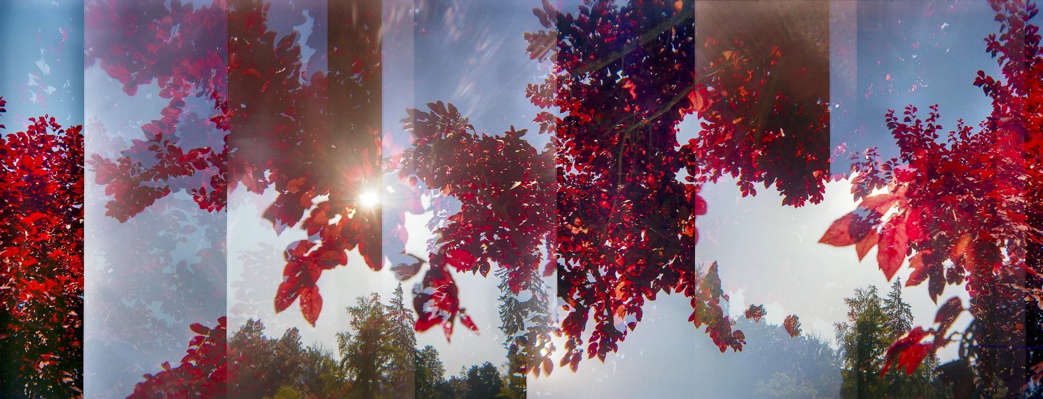 Nikki Burke The Equivalence of Light-9.jpg