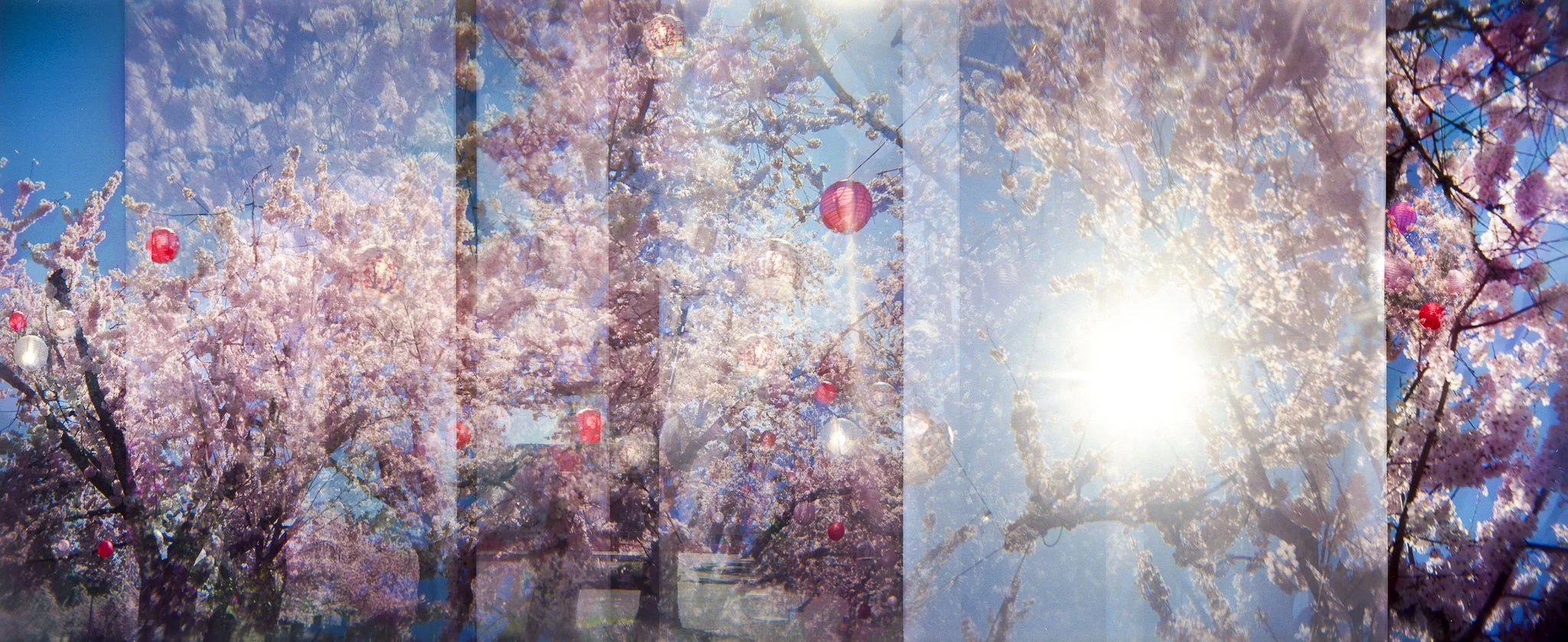 Nikki Burke The Equivalence of Light-10.jpg