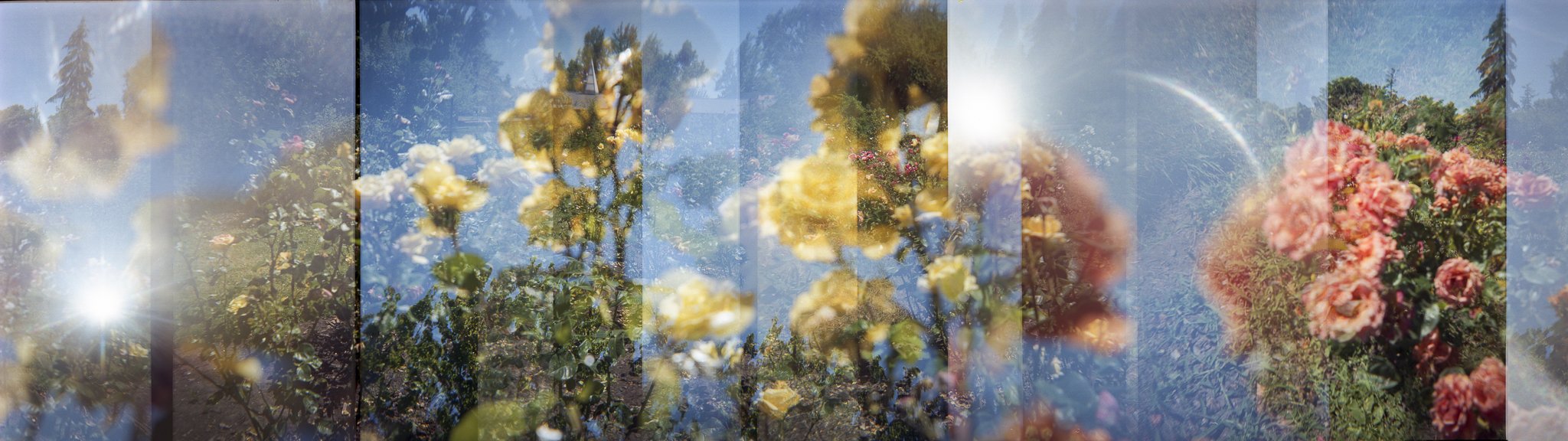 Nikki Burke The Equivalence of Light-11.jpg