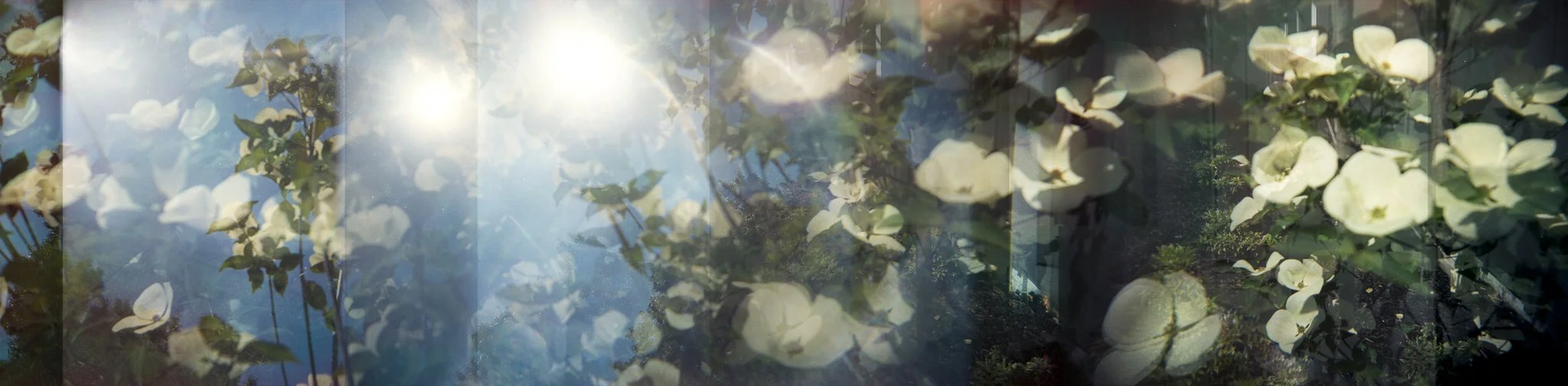 Nikki Burke The Equivalence of Light-12.jpg