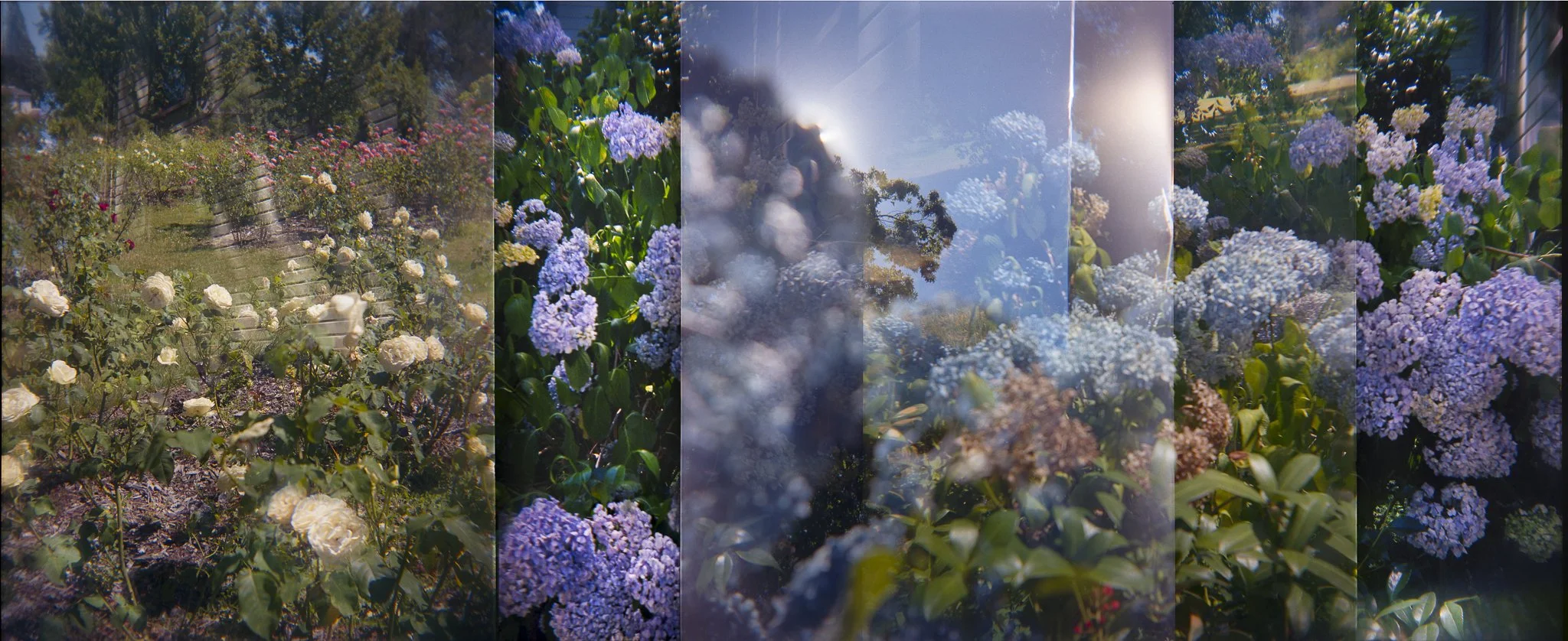 Nikki Burke The Equivalence of Light-13.jpg