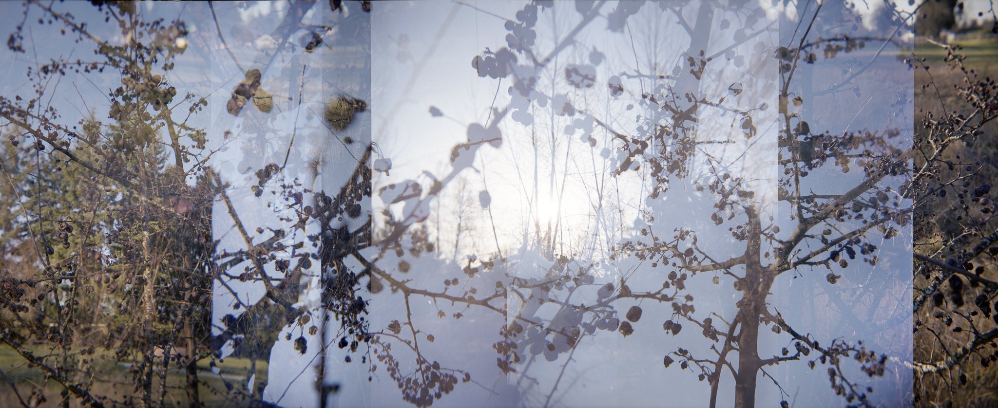 Nikki Burke The Equivalence of Light-14.jpg