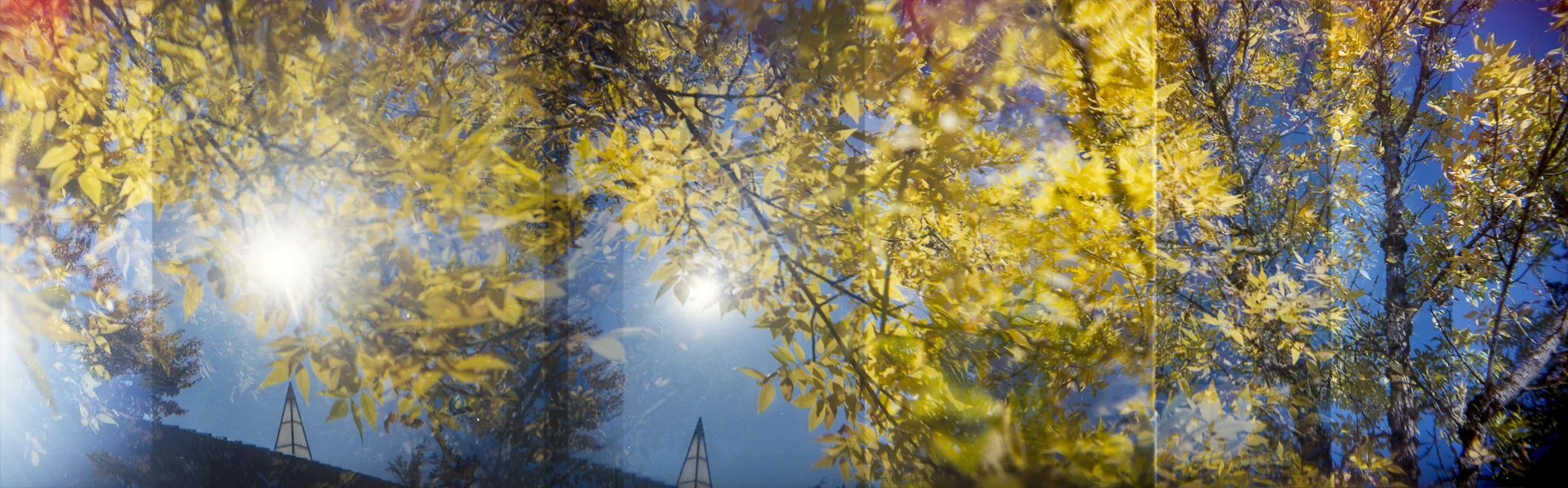 Nikki Burke The Equivalence of Light-15.jpg