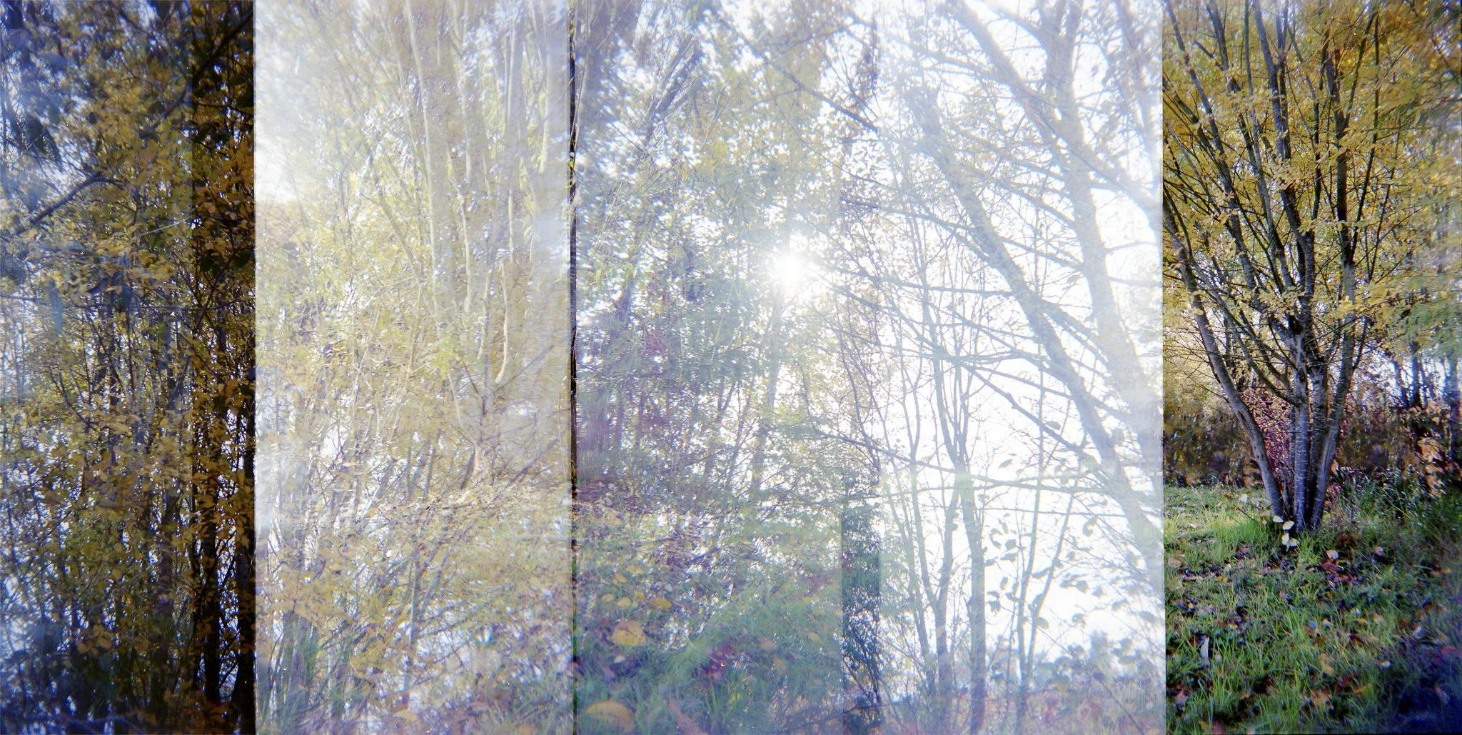 Nikki Burke The Equivalence of Light-16.jpg