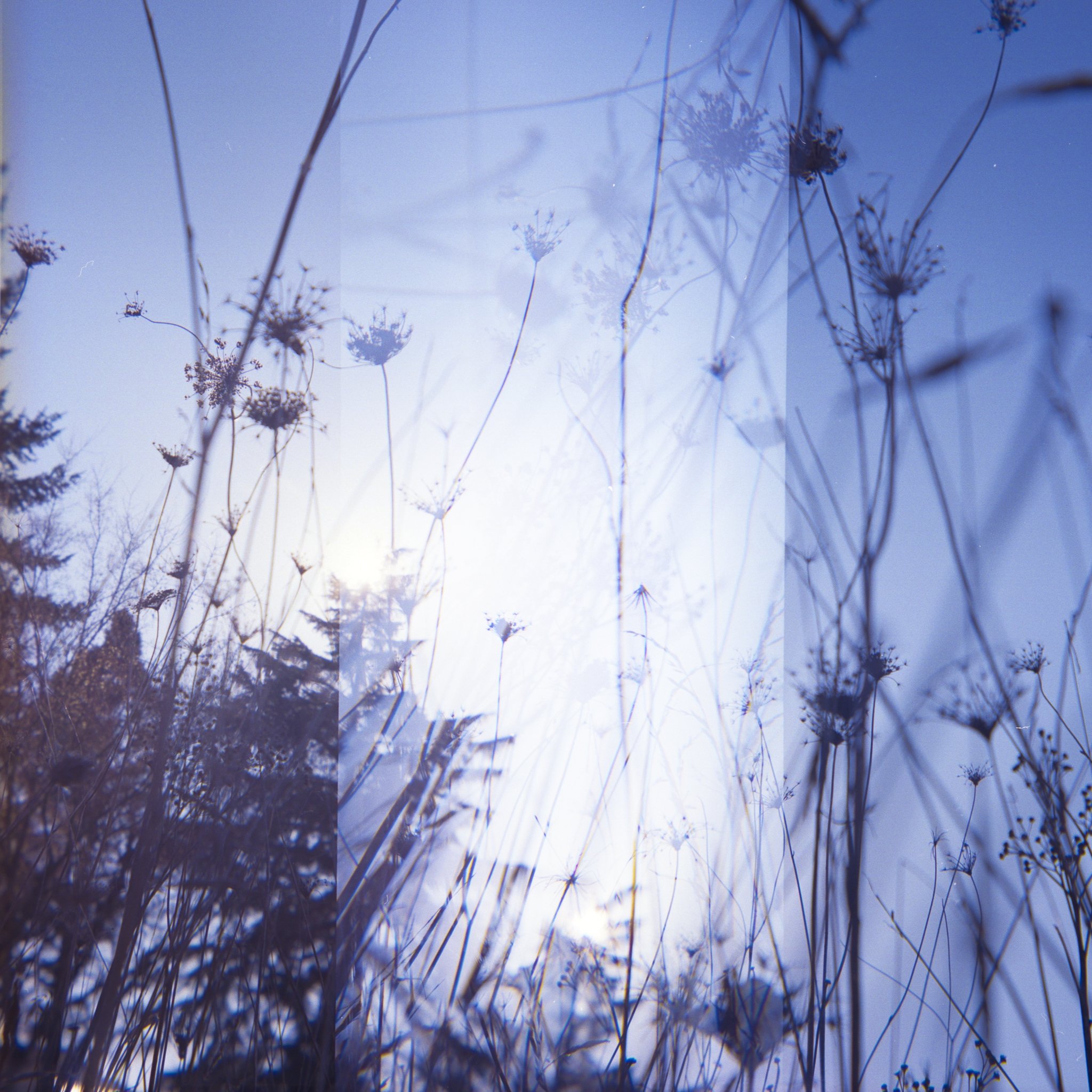 Nikki Burke The Equivalence of Light-19.jpg