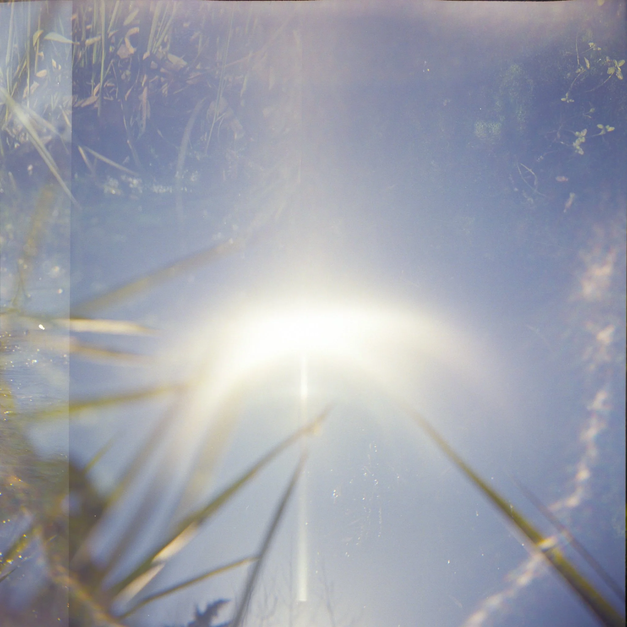 Nikki Burke The Equivalence of Light-20.jpg