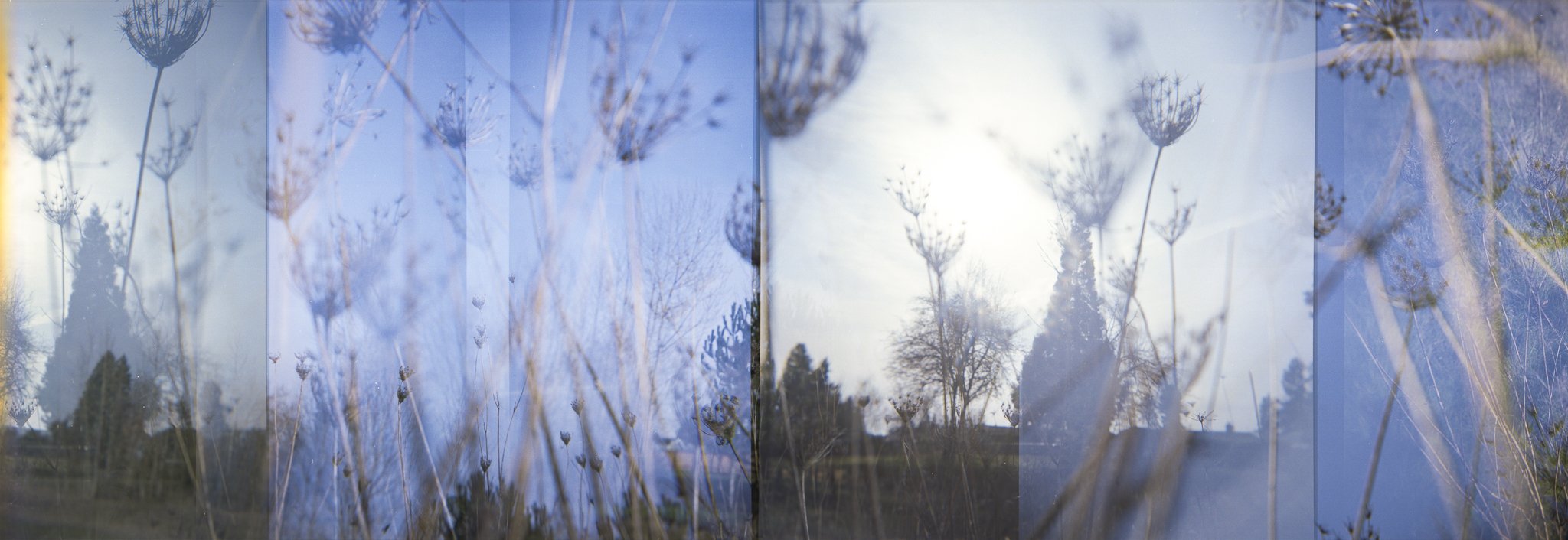 Nikki Burke The Equivalence of Light-21.jpg