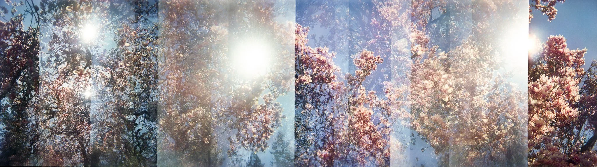 Nikki Burke The Equivalence of Light.jpg