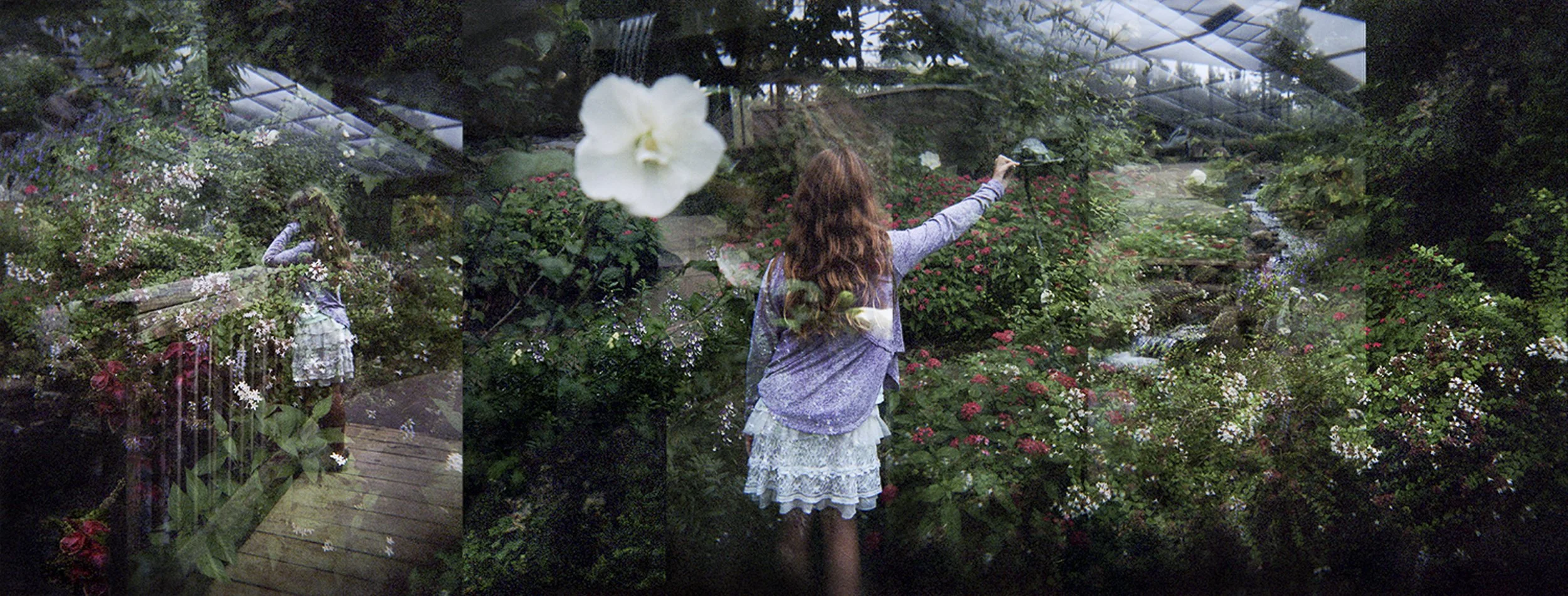 nikki_burke-16.jpg