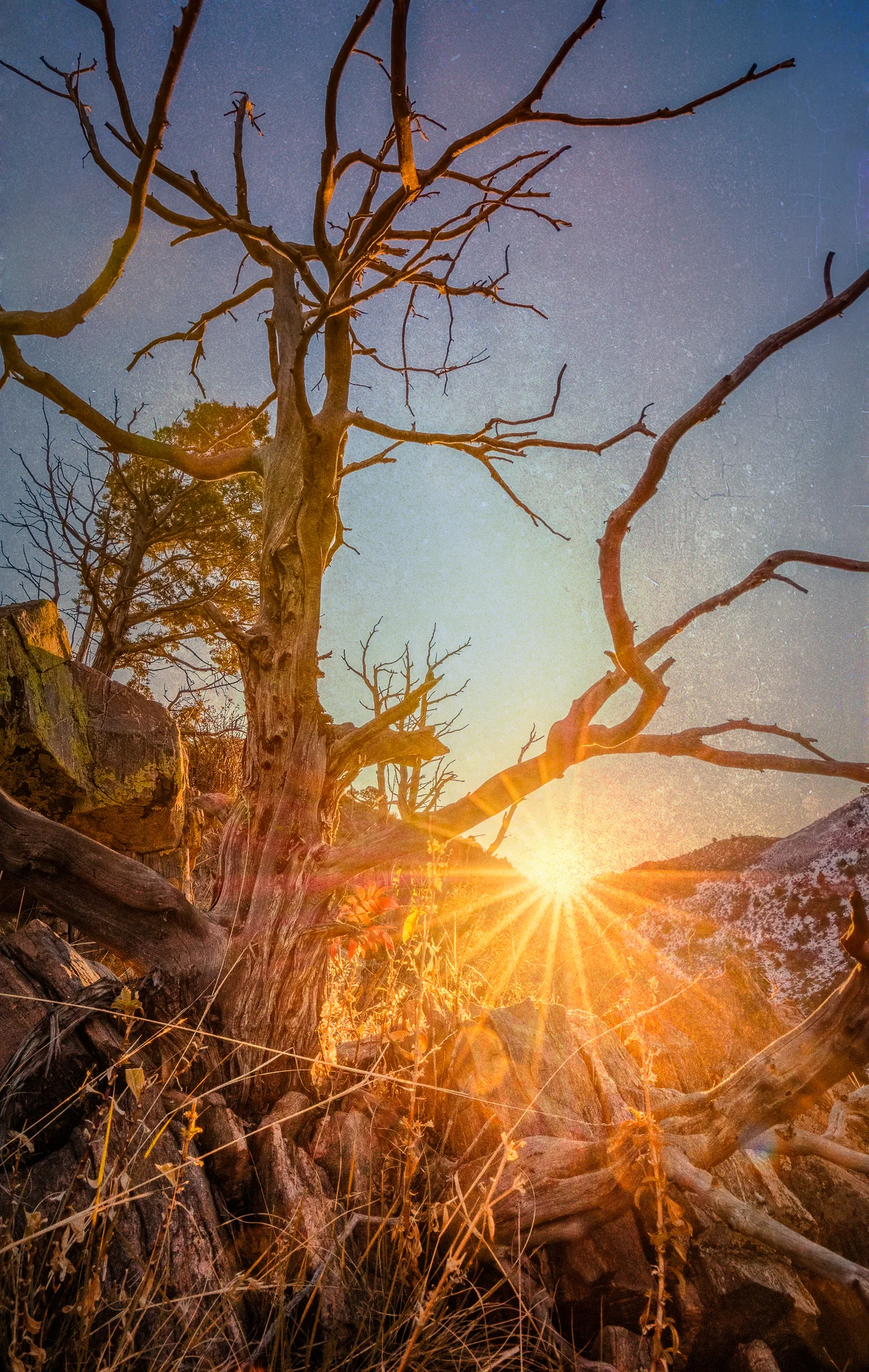After climbing up this hill, I realized that I am a bit out of shape. A little less beer and a little more exercise is definitely in order. (7) bracket HDR * 1/1000 * f/13 * ISO 800 * 16mm