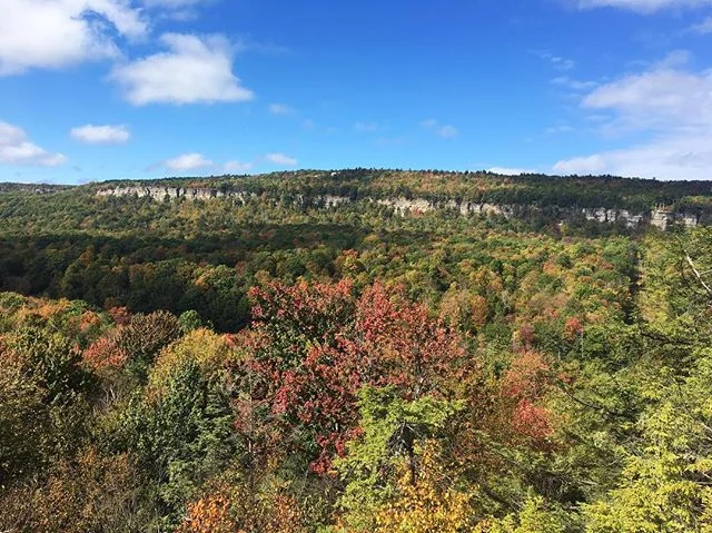 ...and then it was fall 🍂