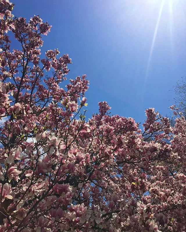 hey hi hello spring thx for finally joining us 🌸