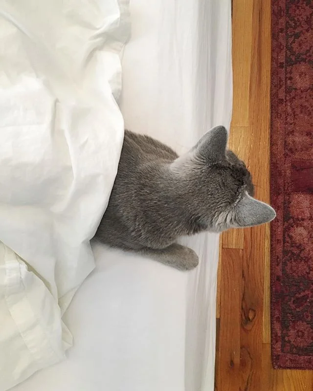 Mondays am I right? -Luna