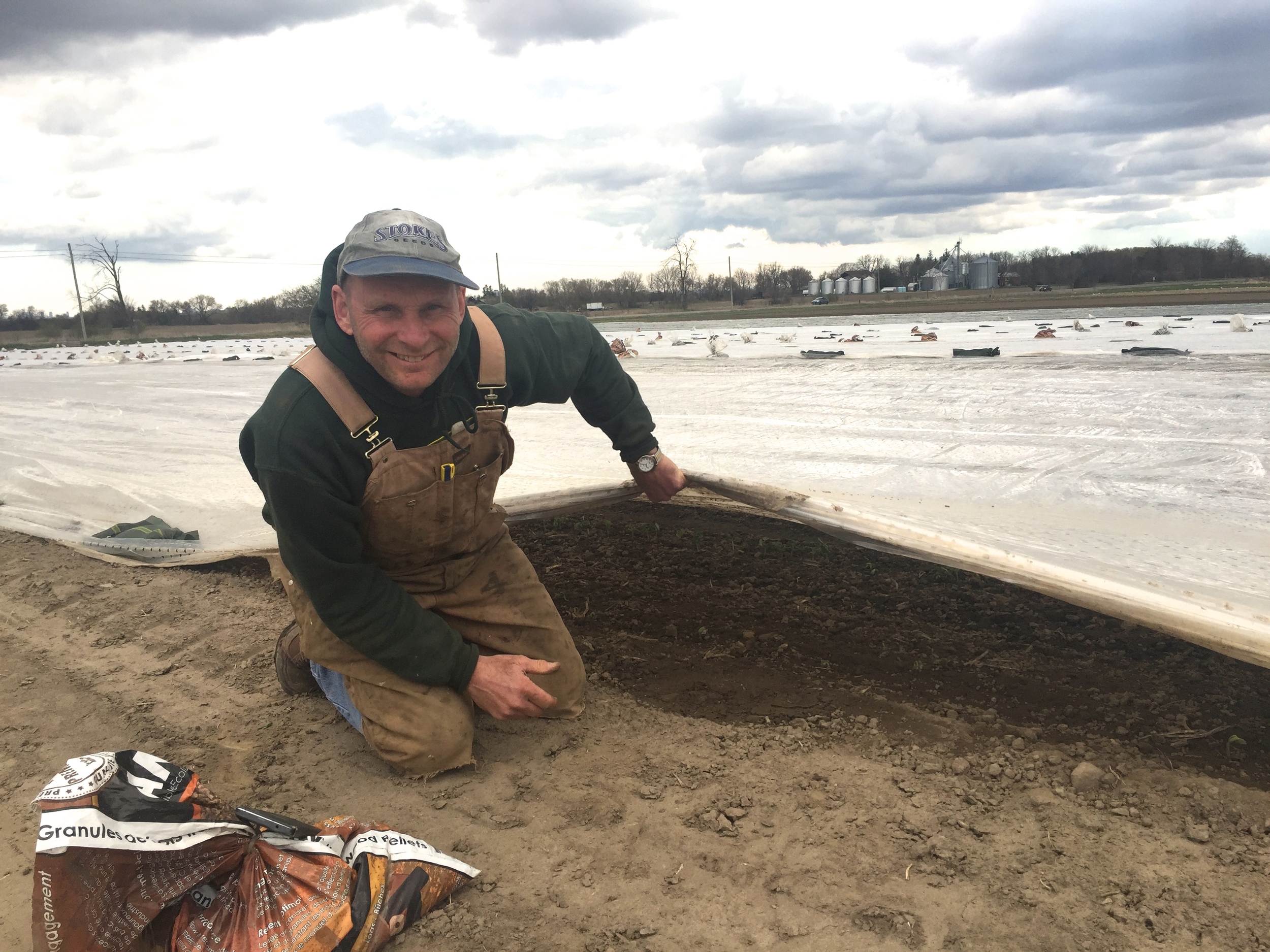 Jay checking the progress of early green beans under the corn-based compostable crop blanket.