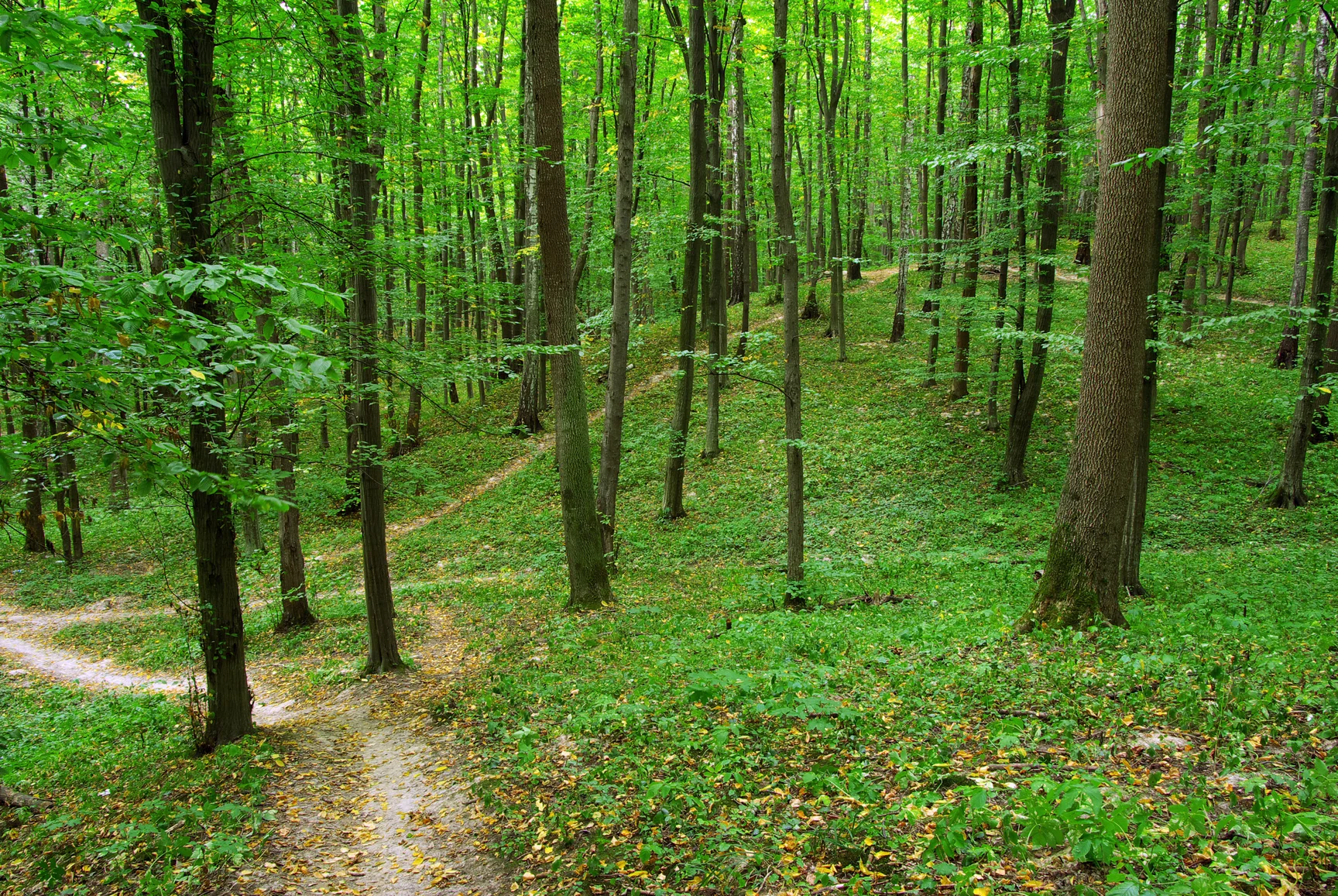 Leave the Office and Make Millions