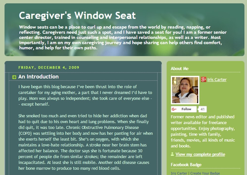 Caregiver's Window Seat
