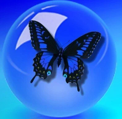 Forgive and ... Remember