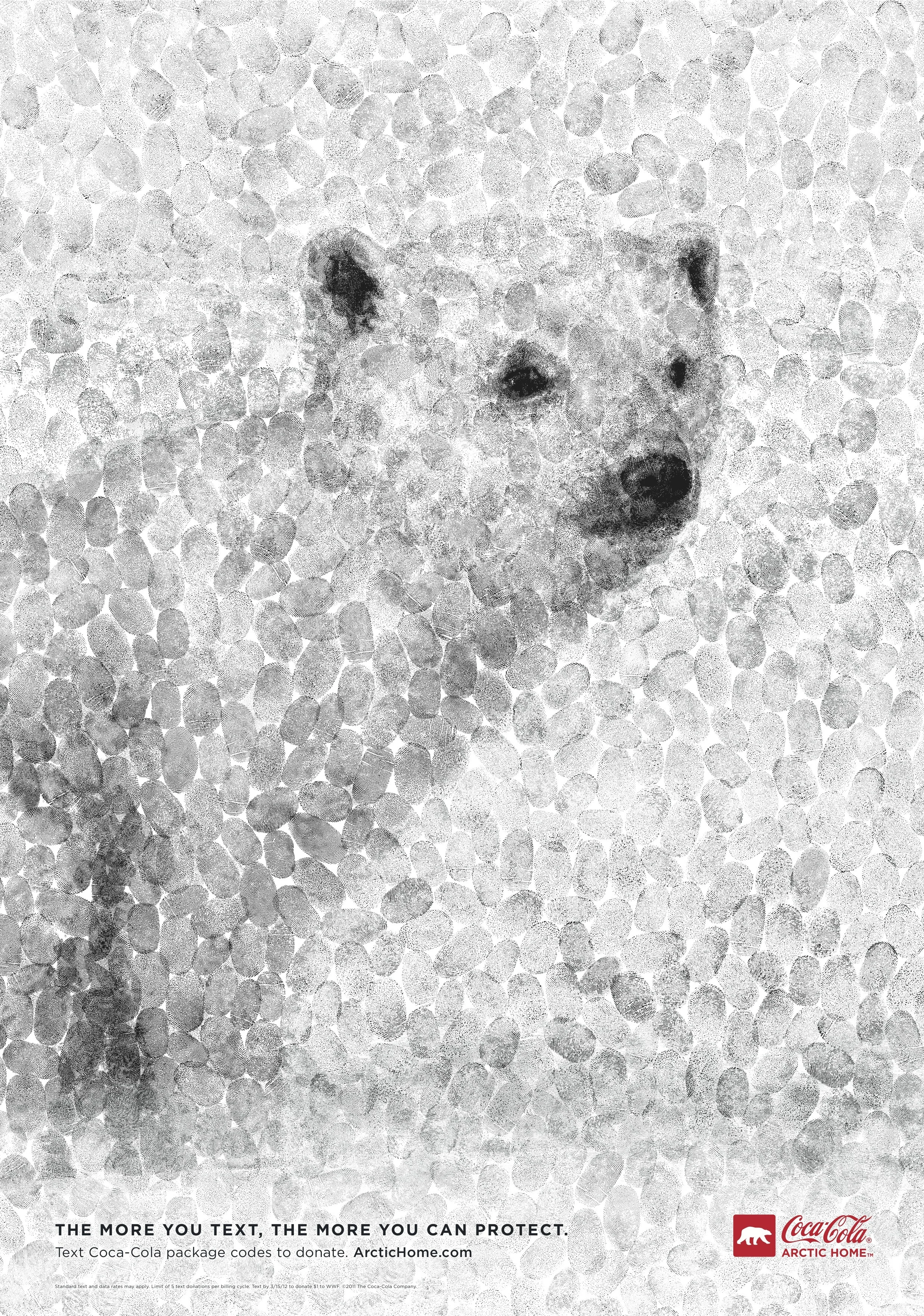 Cub Bear JPEG.jpg