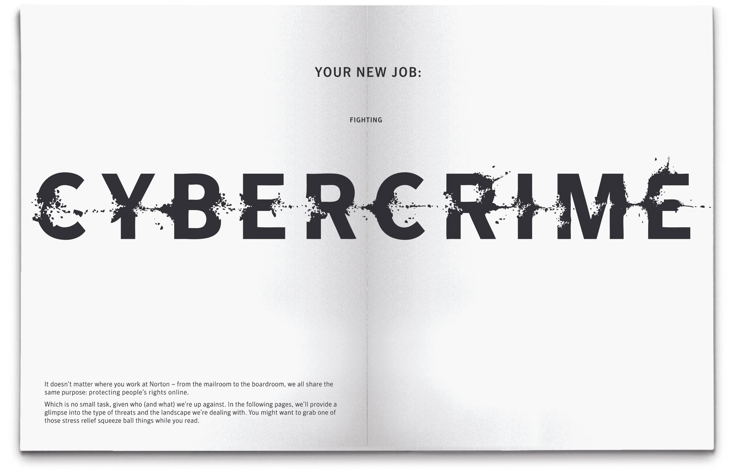 cybercrime_booklet2.jpg