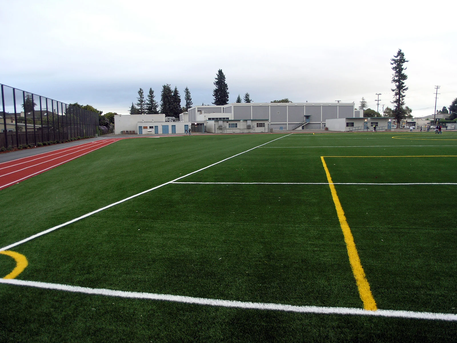 Turf_Closeup-resized.jpg