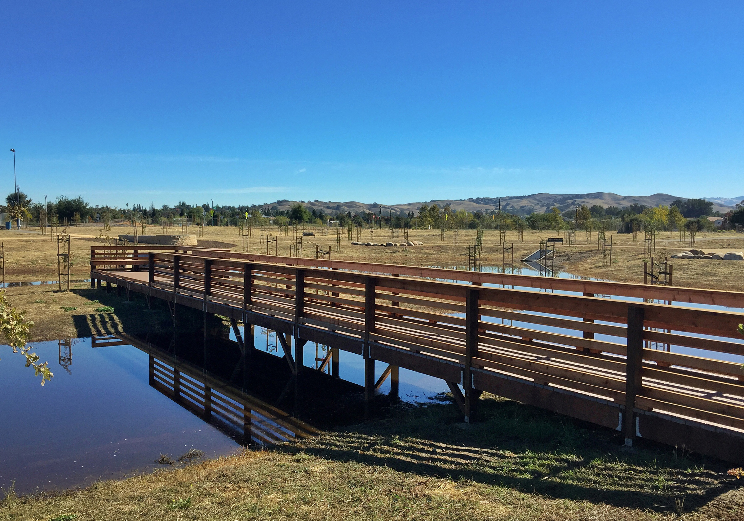 Bernal-Boardwalk Good-sm.jpg