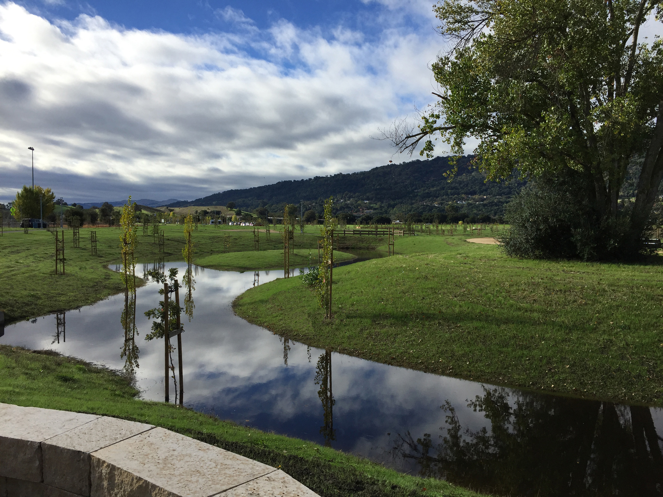 Bernal-Bioretention Channel-Great-sm-web.jpg