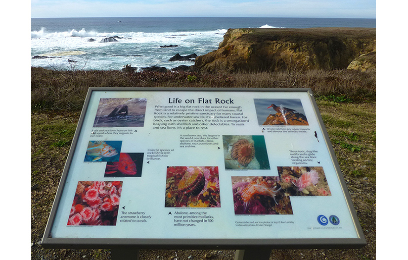 interpretive sign-sm.jpg