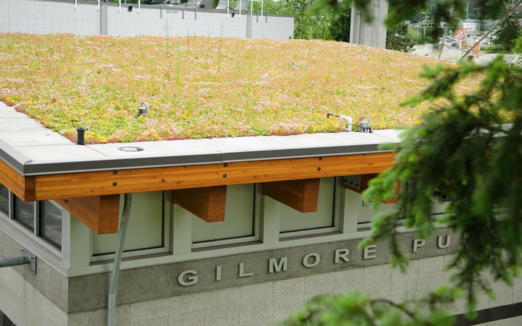 gilmore-green-roof.jpg